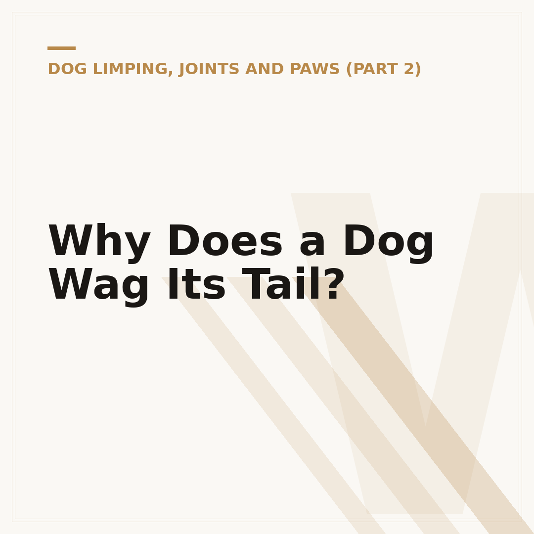 Why Does a Dog Wag Its Tail?