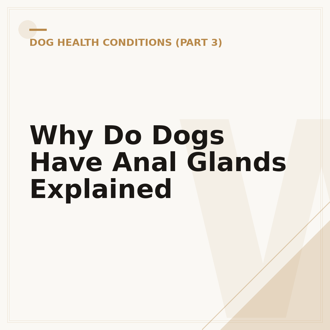 Why Do Dogs Have Anal Glands Explained