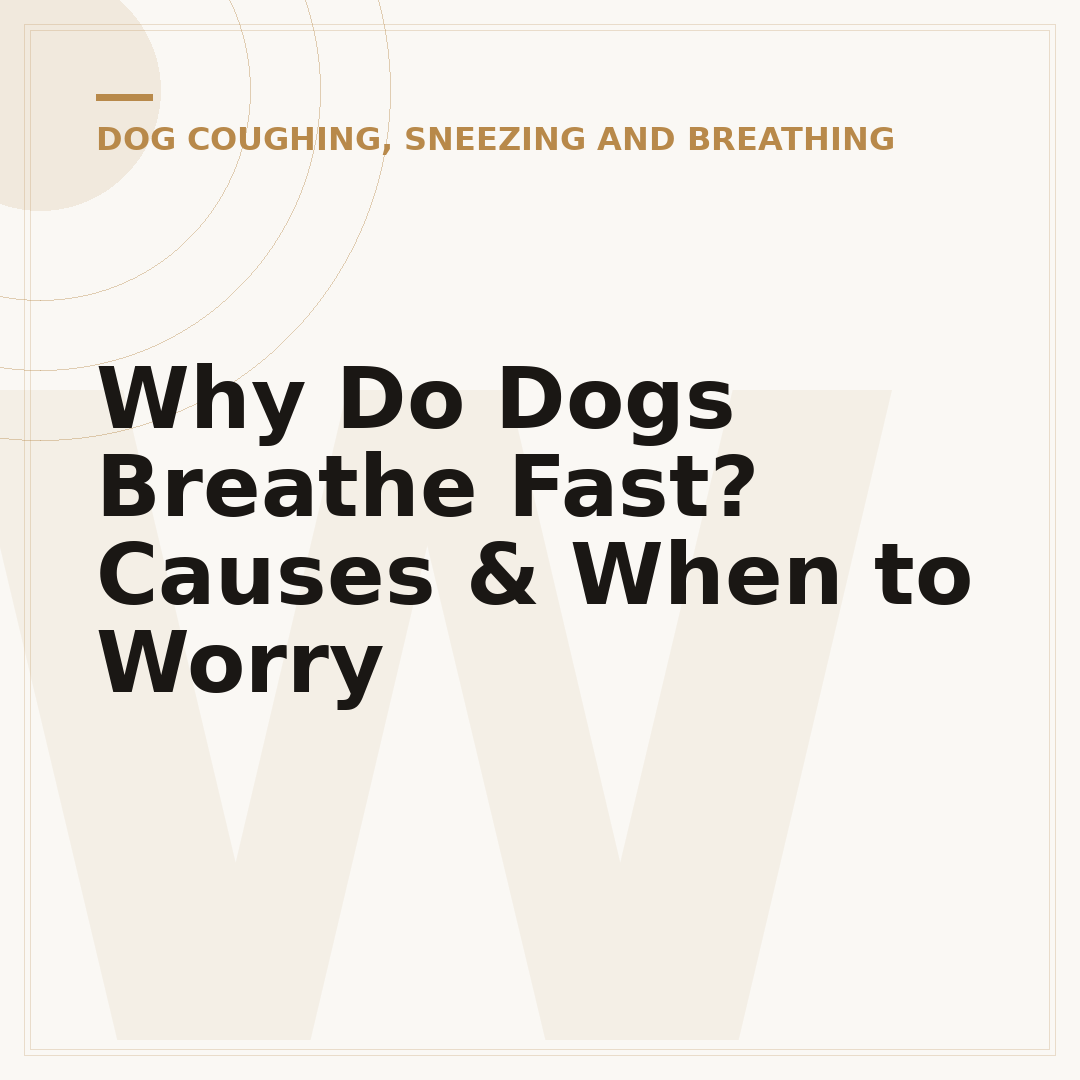 Why Do Dogs Breathe Fast? Causes & When to Worry