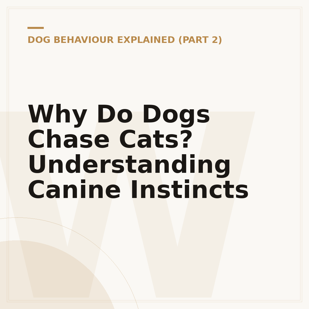Why Do Dogs Chase Cats? Understanding Canine Instincts