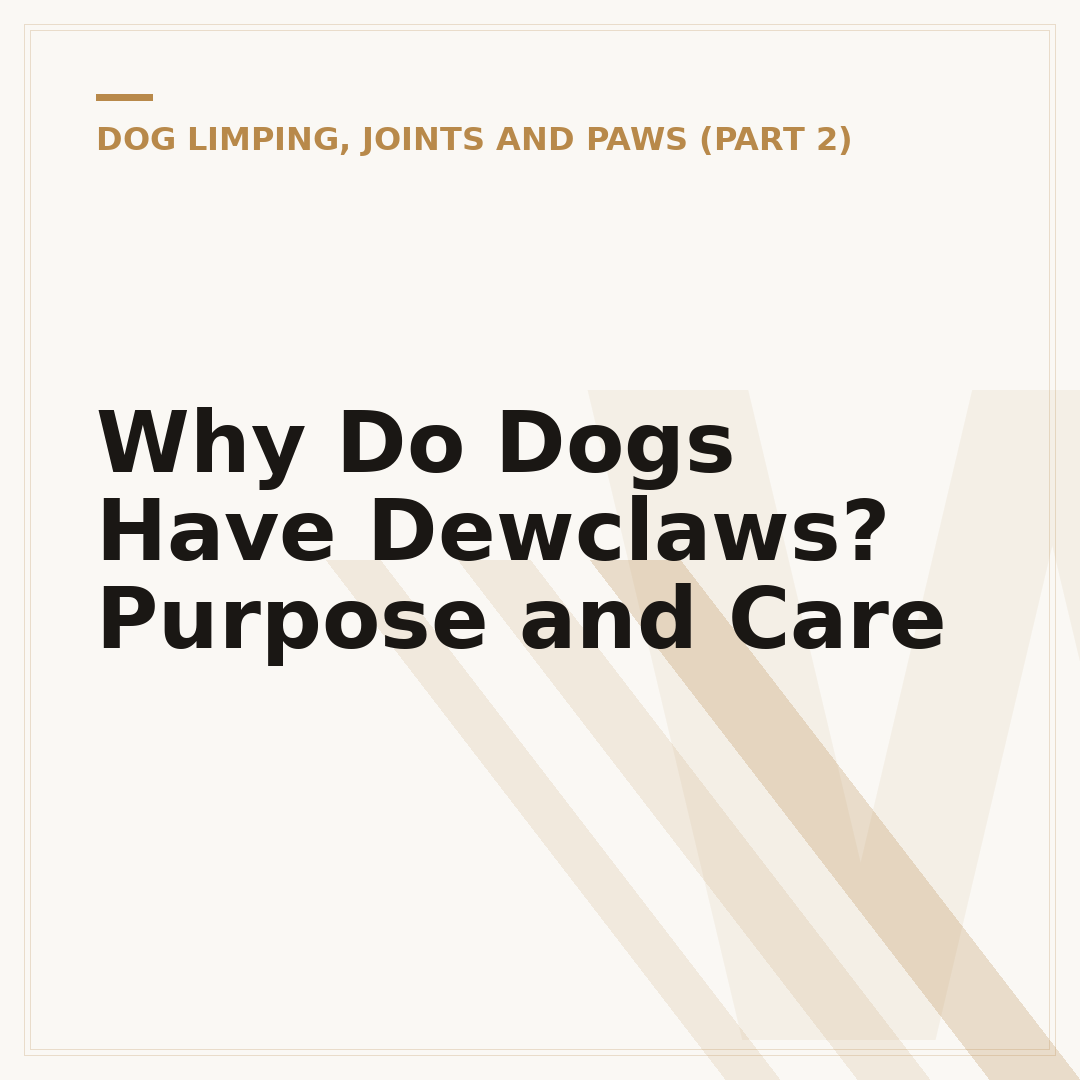 Why Do Dogs Have Dewclaws? Purpose and Care