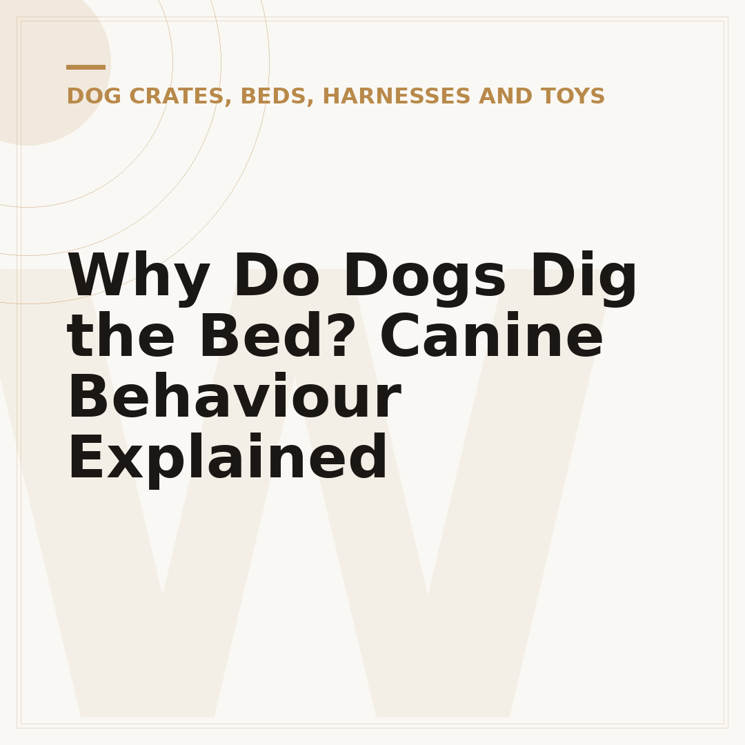 Why Do Dogs Dig the Bed? Canine Behaviour Explained