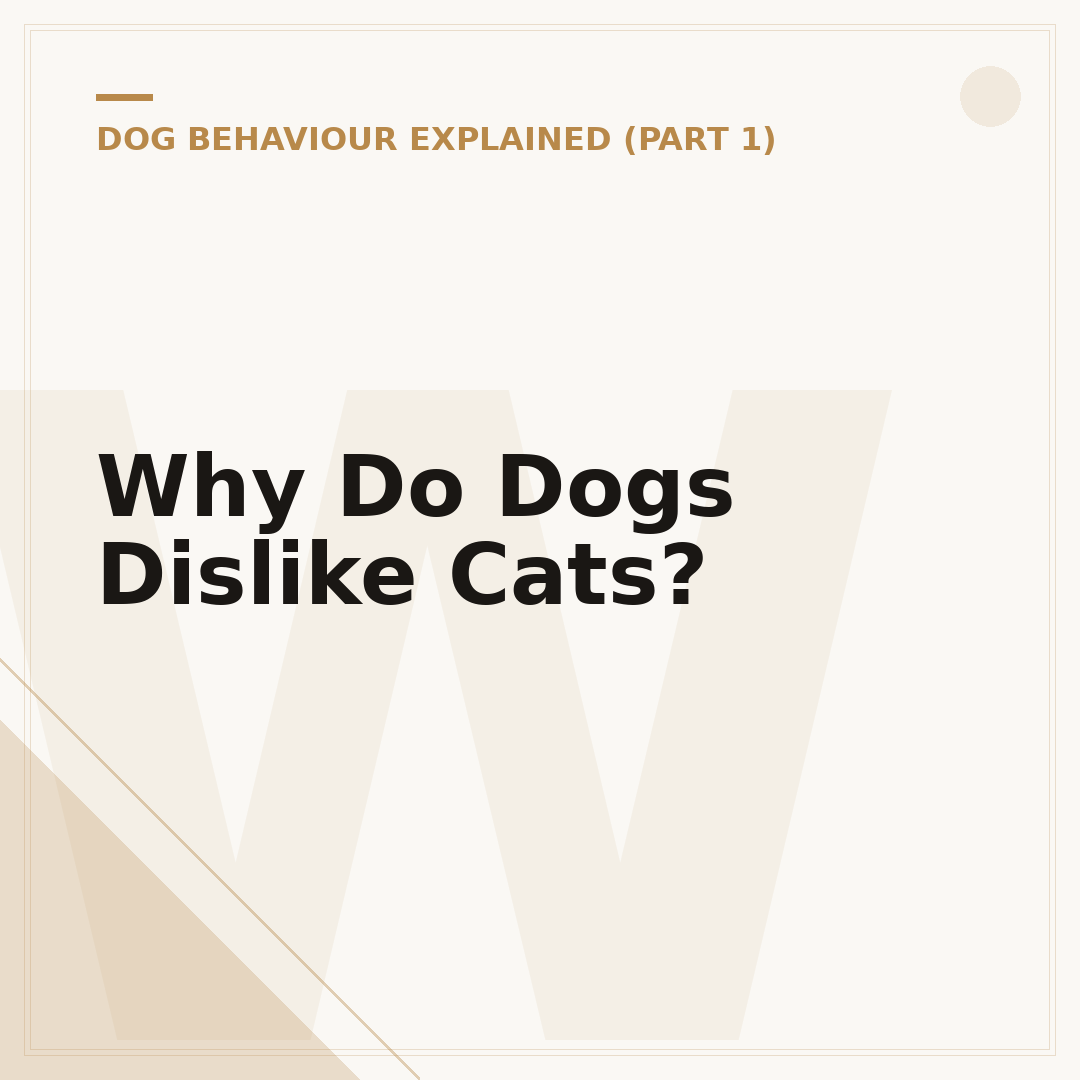 Why Do Dogs Dislike Cats?