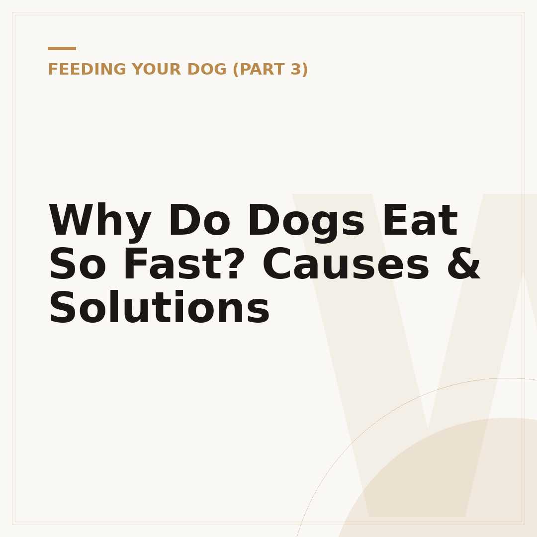 Why Do Dogs Eat So Fast? Causes & Solutions