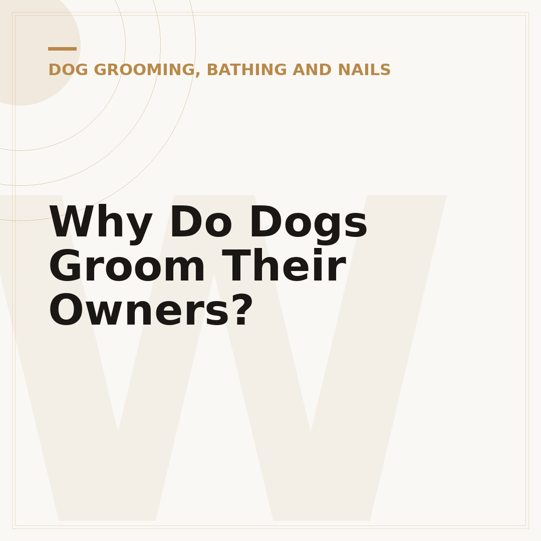Why Do Dogs Groom Their Owners?