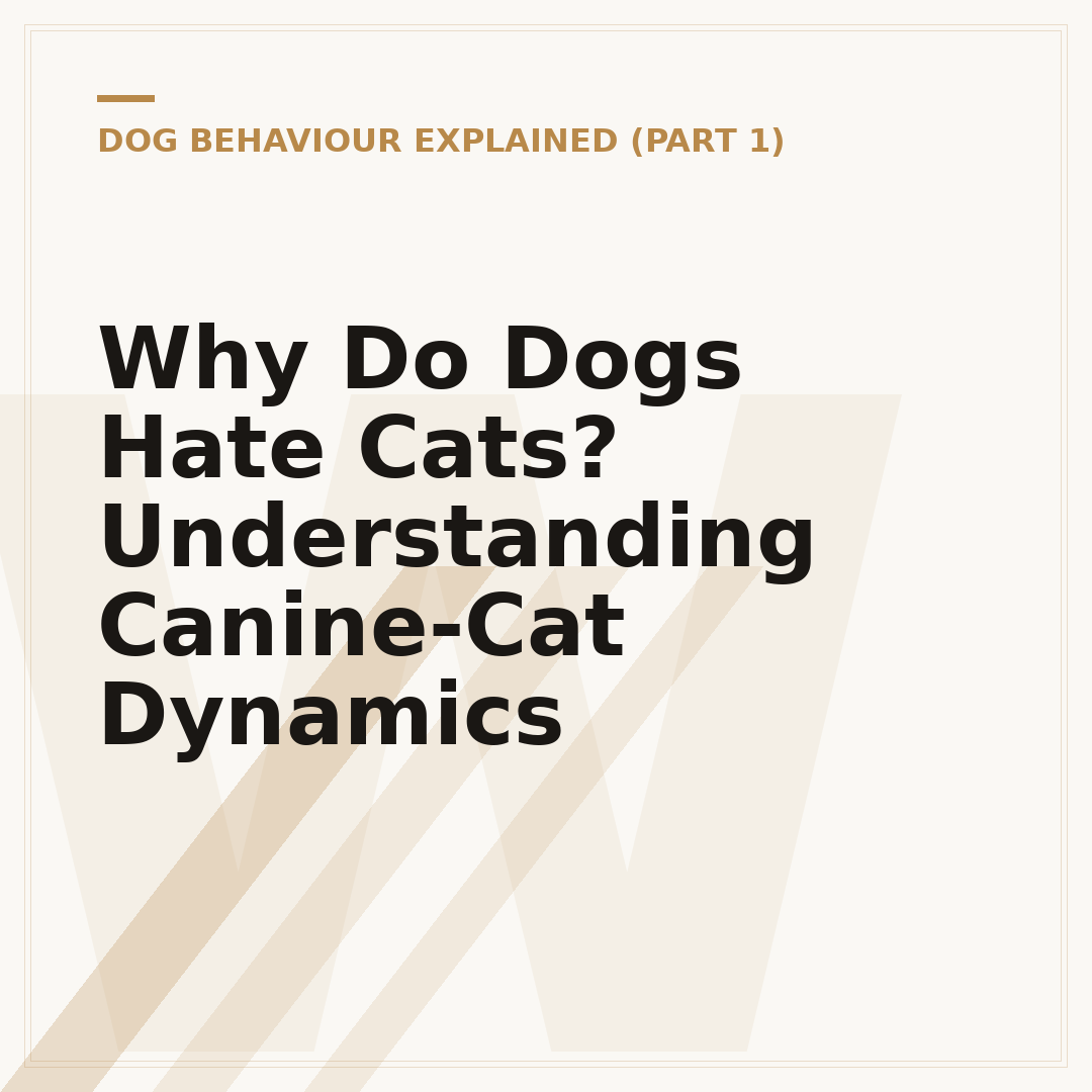 Why Do Dogs Hate Cats? Understanding Canine-Cat Dynamics