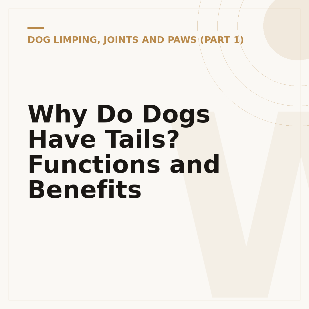 Why Do Dogs Have Tails? Functions and Benefits