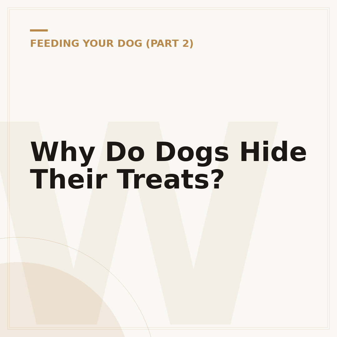Why Do Dogs Hide Their Treats?
