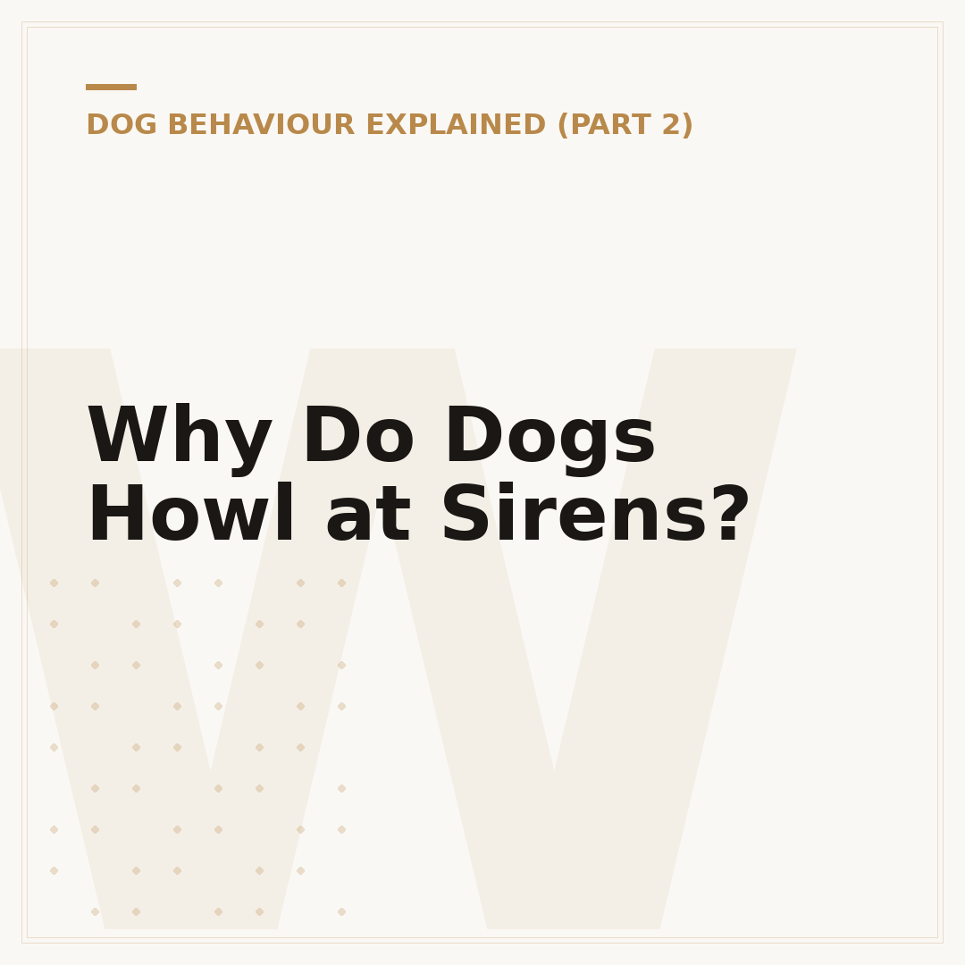 Why Do Dogs Howl at Sirens?