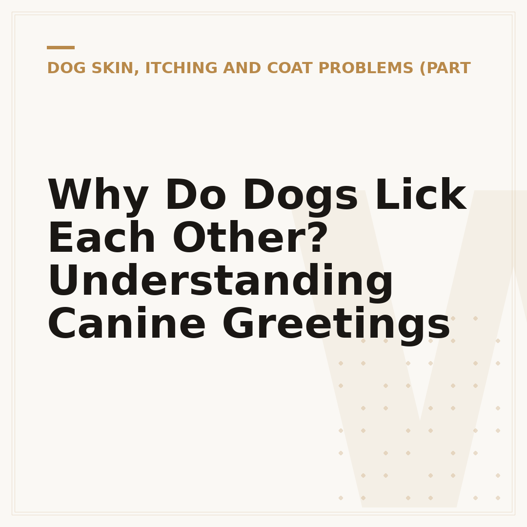 Why Do Dogs Lick Each Other? Understanding Canine Greetings