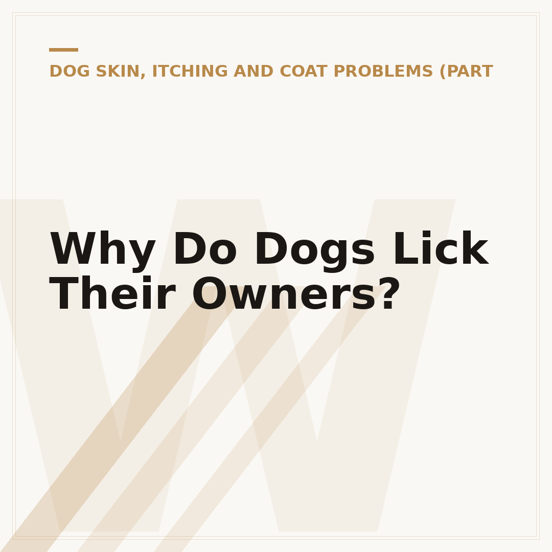 Why Do Dogs Lick Their Owners?