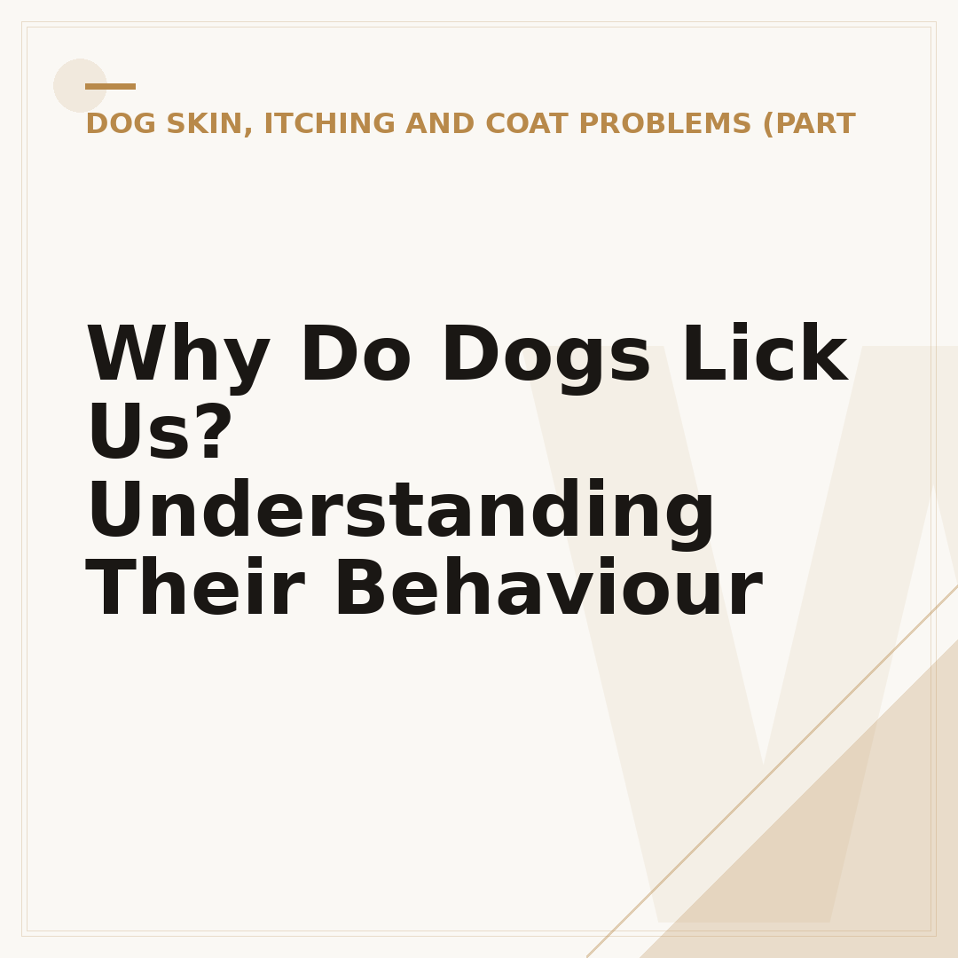 Why Do Dogs Lick Us? Understanding Their Behaviour