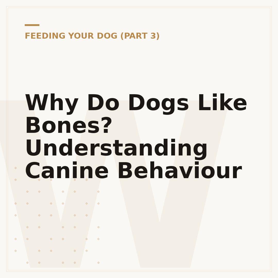 Why Do Dogs Like Bones? Understanding Canine Behaviour