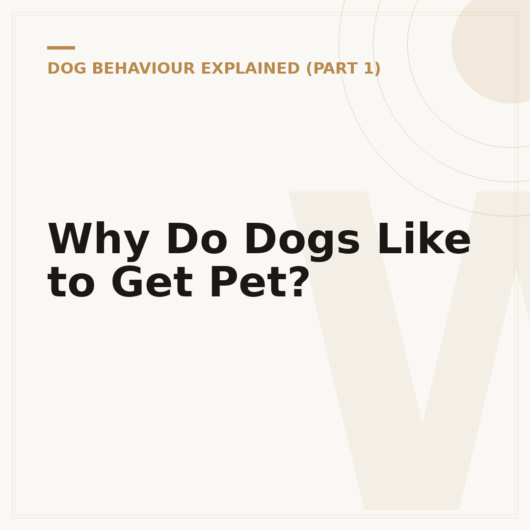 Why Do Dogs Like to Get Pet?