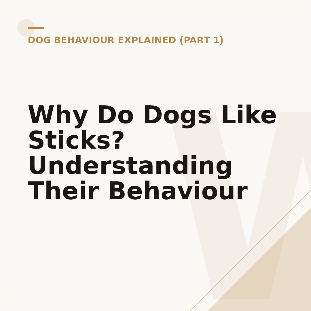 Why Do Dogs Like Sticks? Understanding Their Behaviour