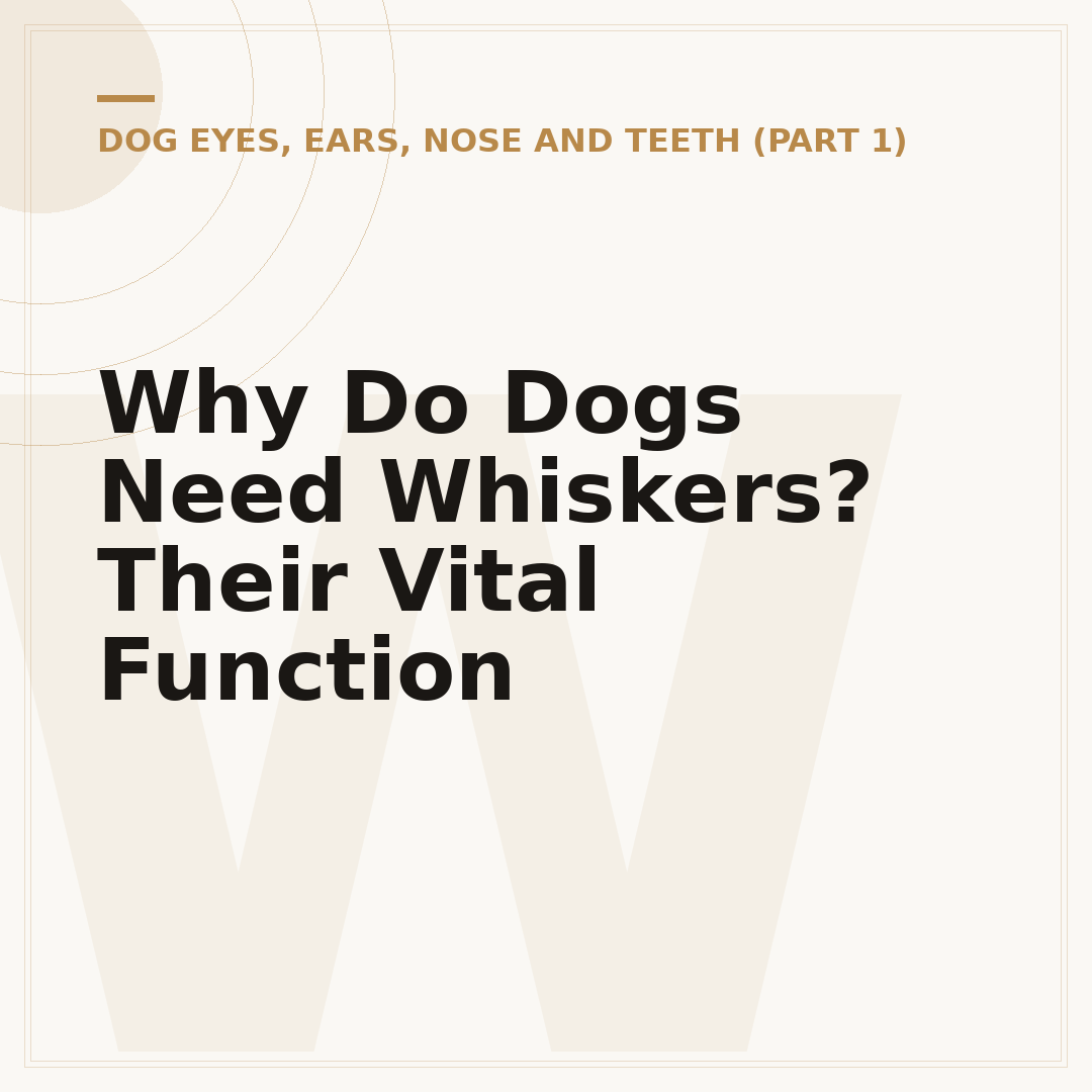 Why Do Dogs Need Whiskers? Their Vital Function