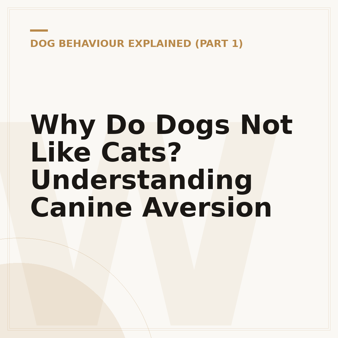Why Do Dogs Not Like Cats? Understanding Canine Aversion