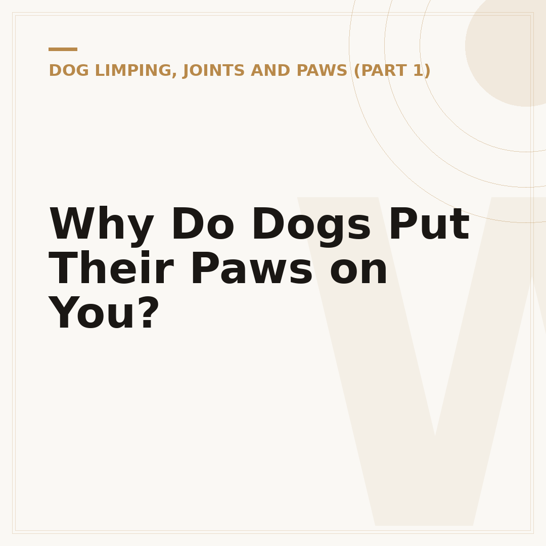 Why Do Dogs Put Their Paws on You?