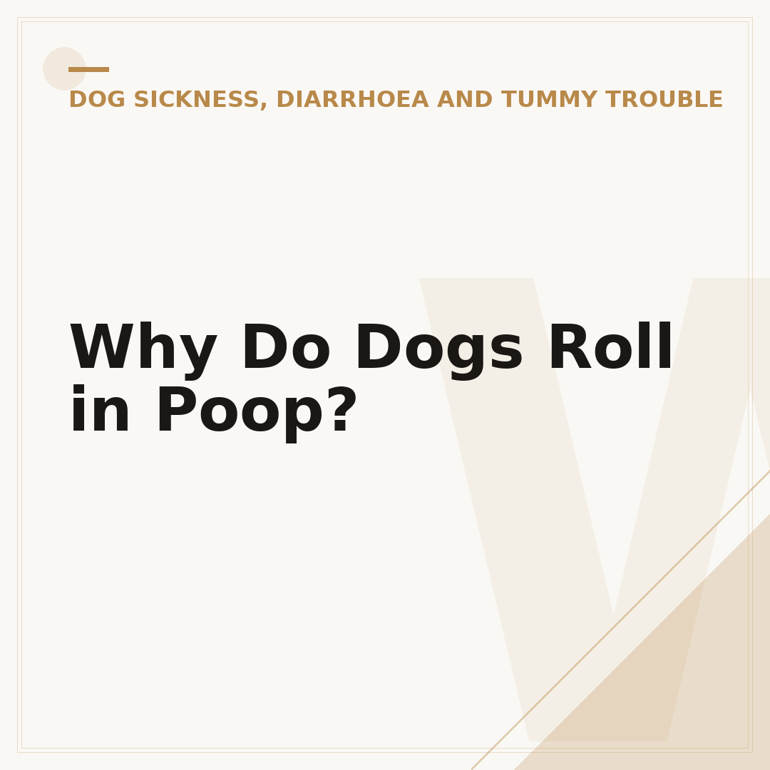 Why Do Dogs Roll in Poop?