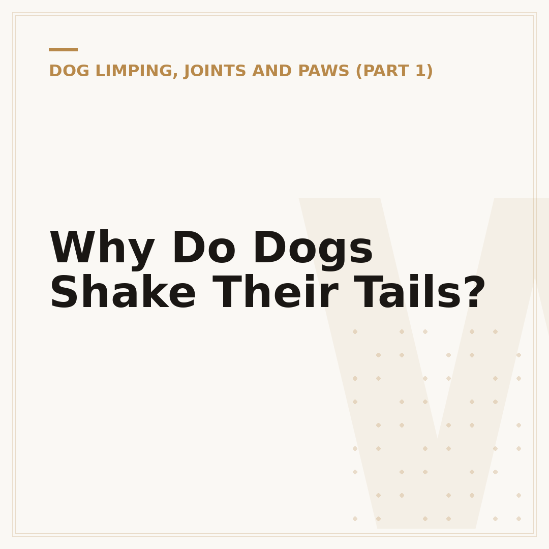 Why Do Dogs Shake Their Tails?