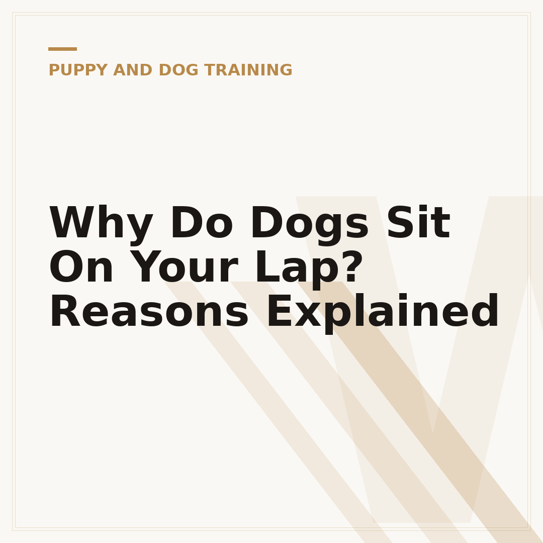 Why Do Dogs Sit On Your Lap? Reasons Explained