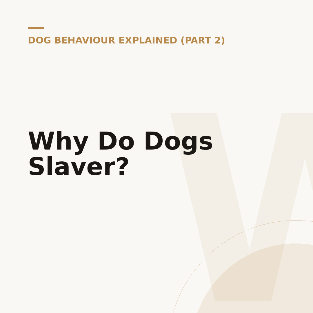 Why Do Dogs Slaver?