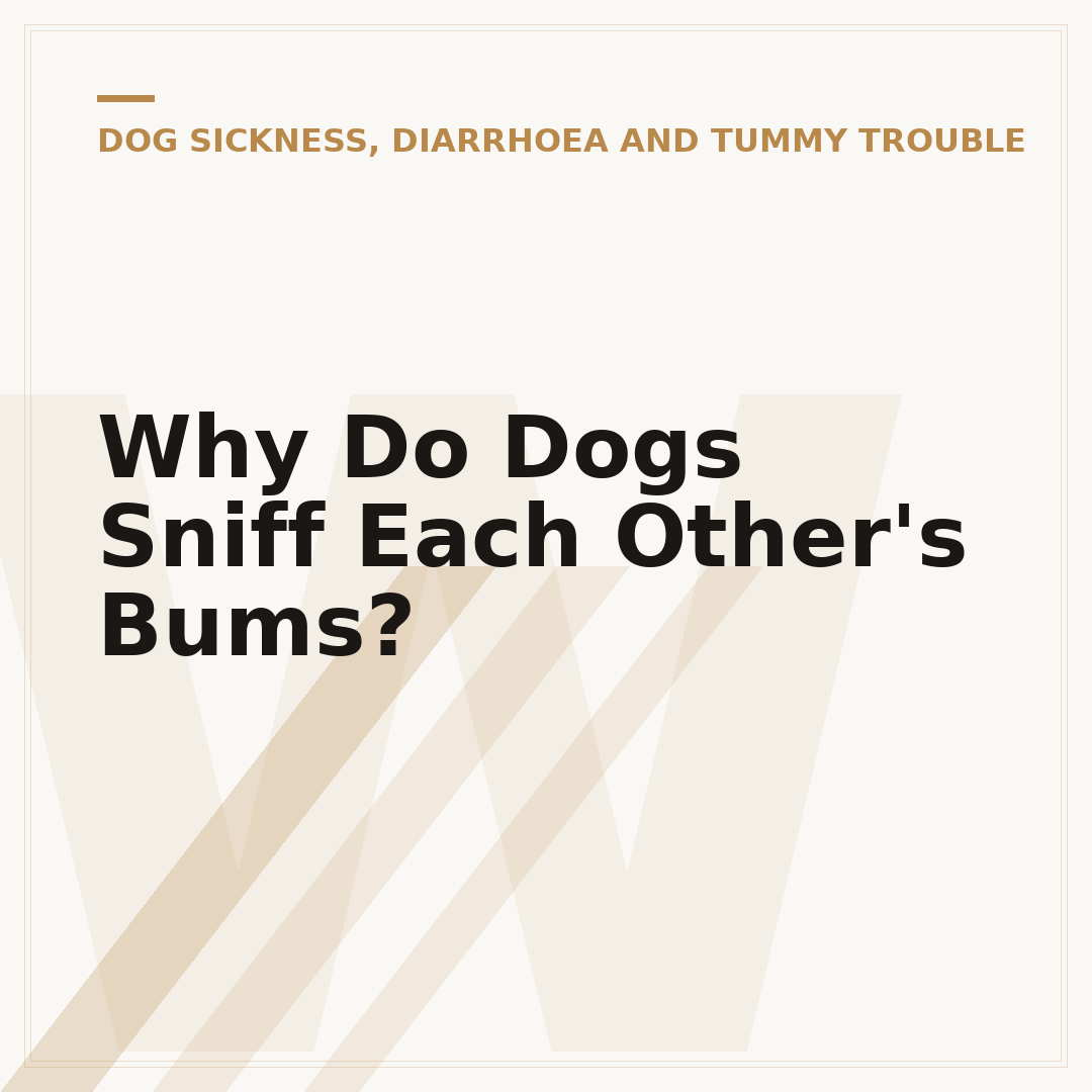 Why Do Dogs Sniff Each Other's Bums?