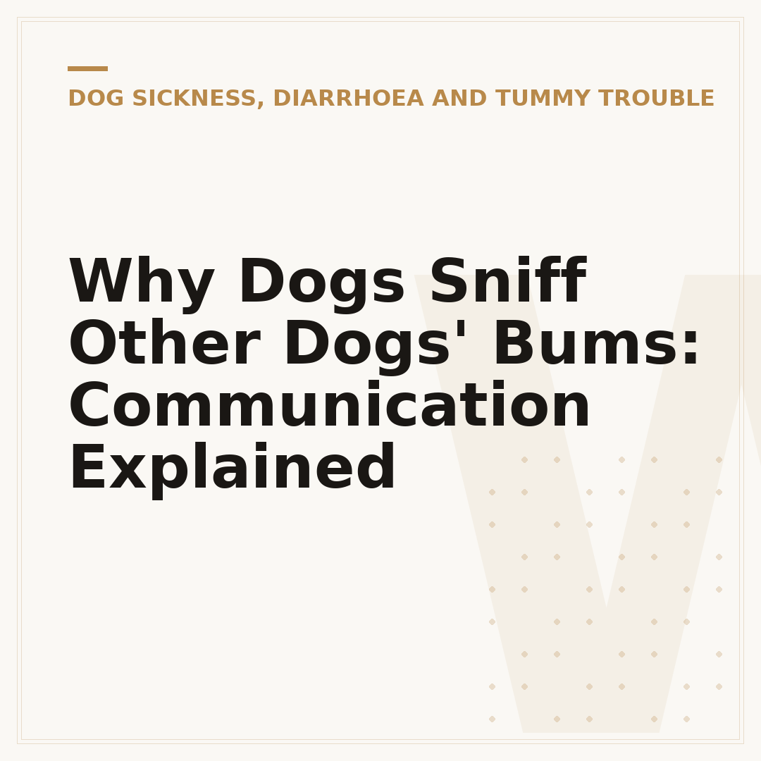 Why Dogs Sniff Other Dogs' Bums: Communication Explained