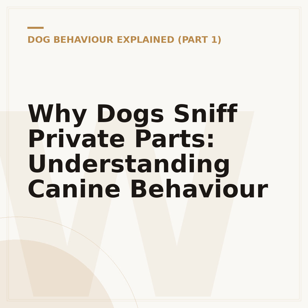 Why Dogs Sniff Private Parts: Understanding Canine Behaviour
