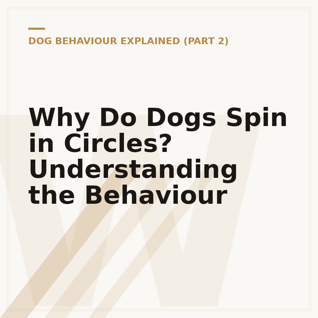 Why Do Dogs Spin in Circles? Understanding the Behaviour