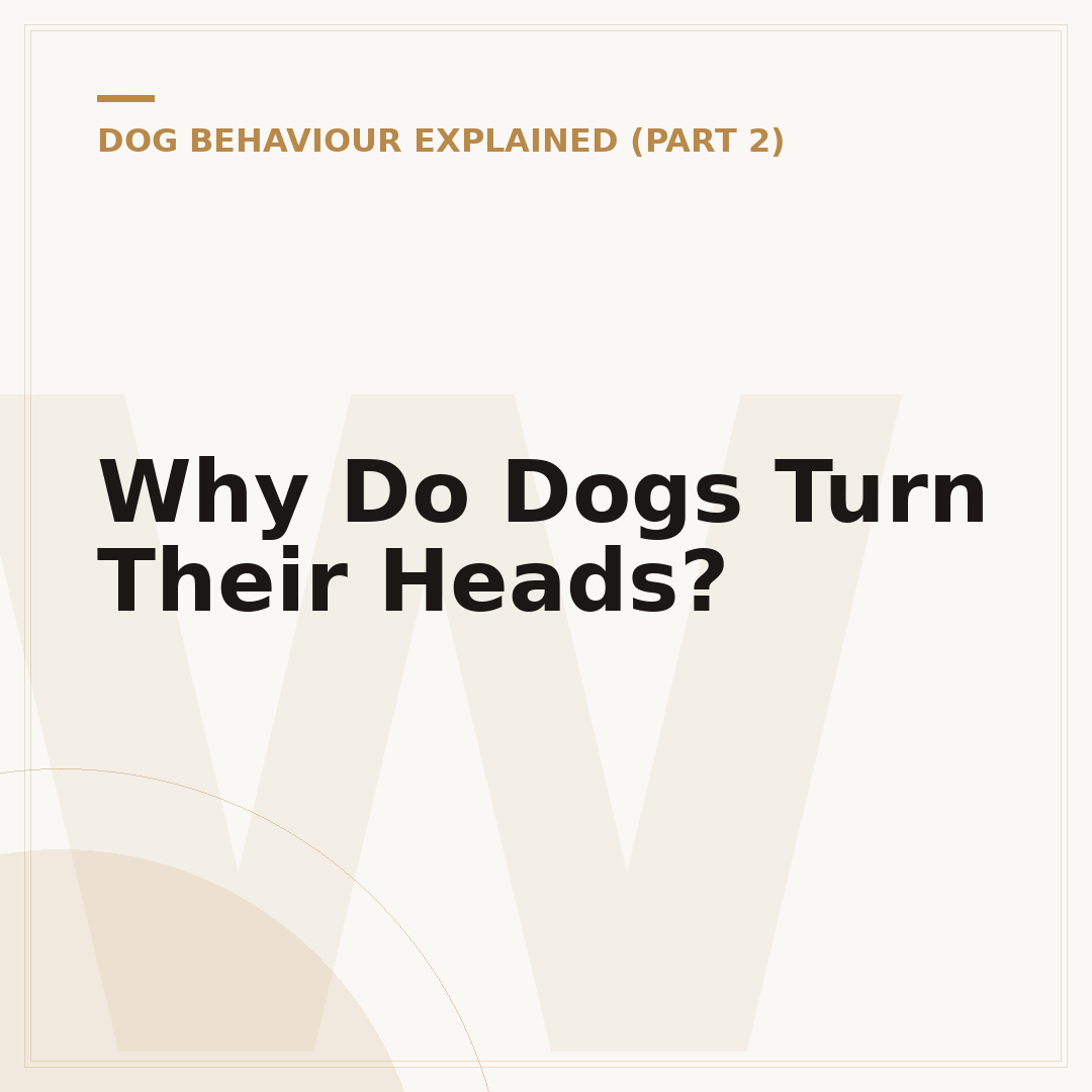 Why Do Dogs Turn Their Heads?