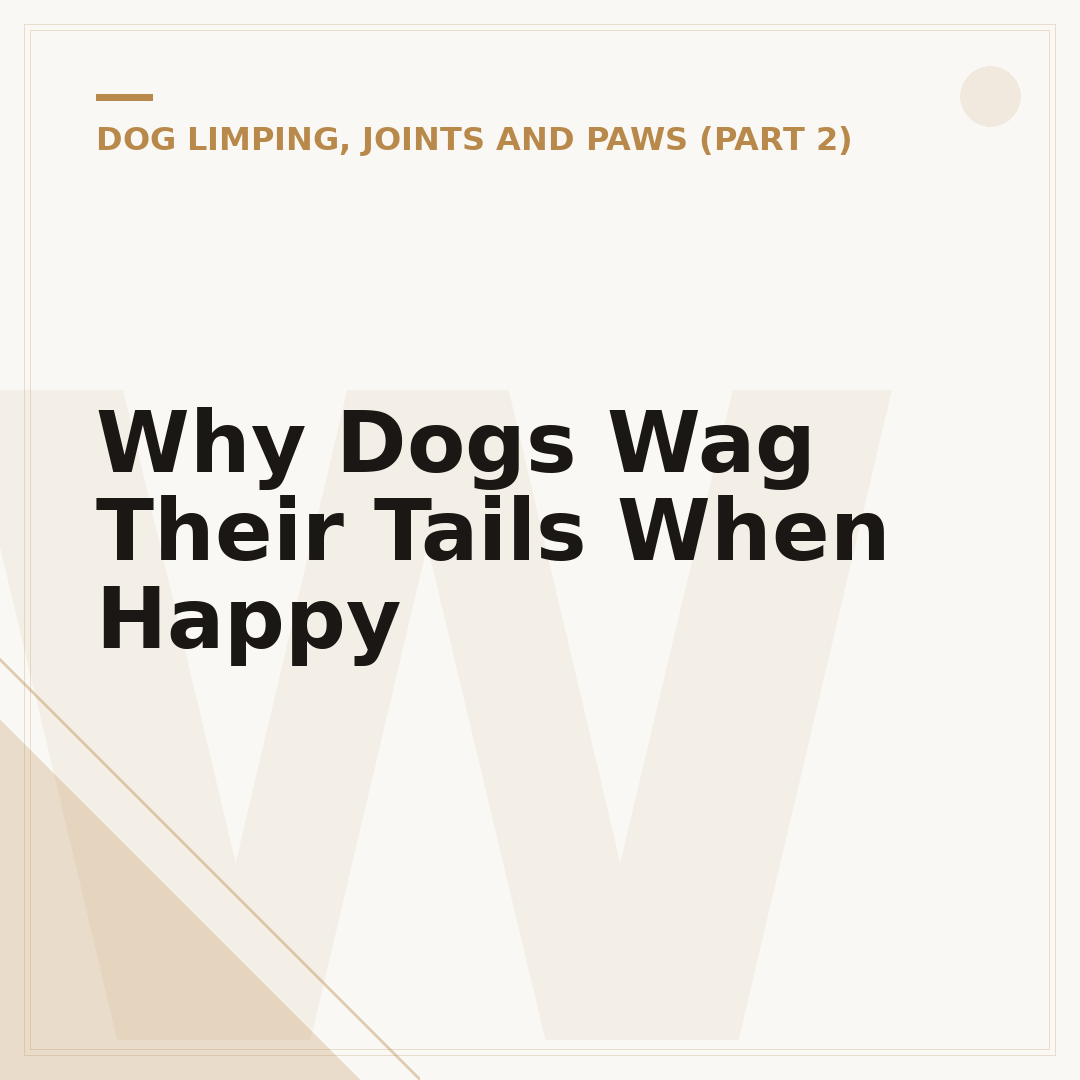 Why Dogs Wag Their Tails When Happy