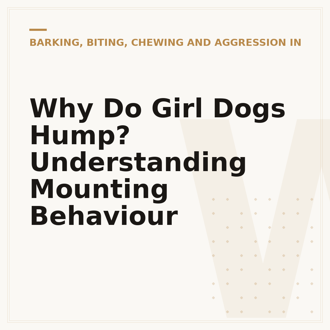 Why Do Girl Dogs Hump? Understanding Mounting Behaviour