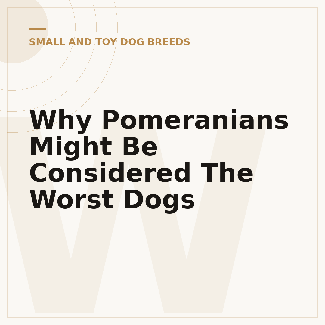 Why Pomeranians Might Be Considered The Worst Dogs
