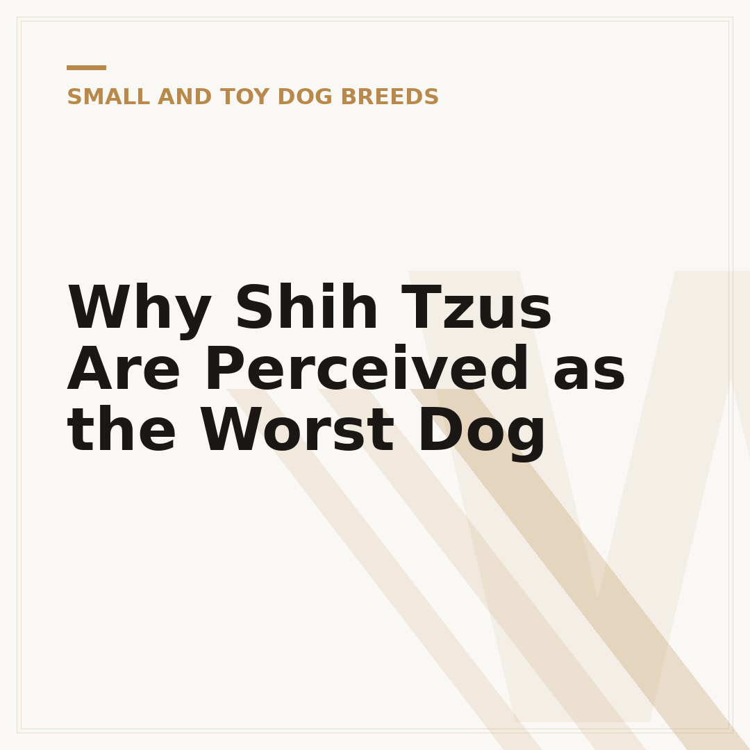 Why Shih Tzus Are Perceived as the Worst Dog