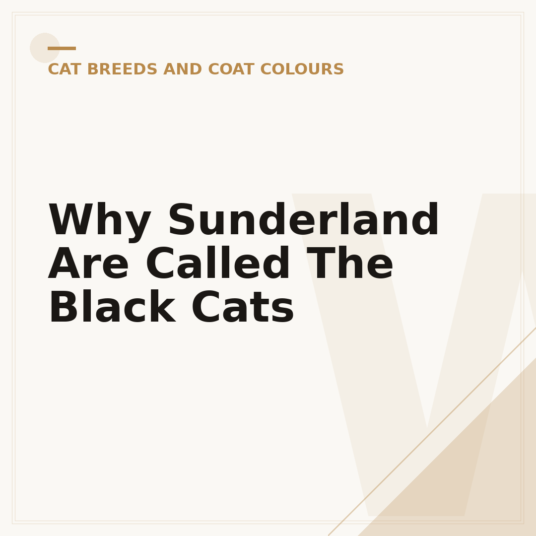 Why Sunderland Are Called The Black Cats