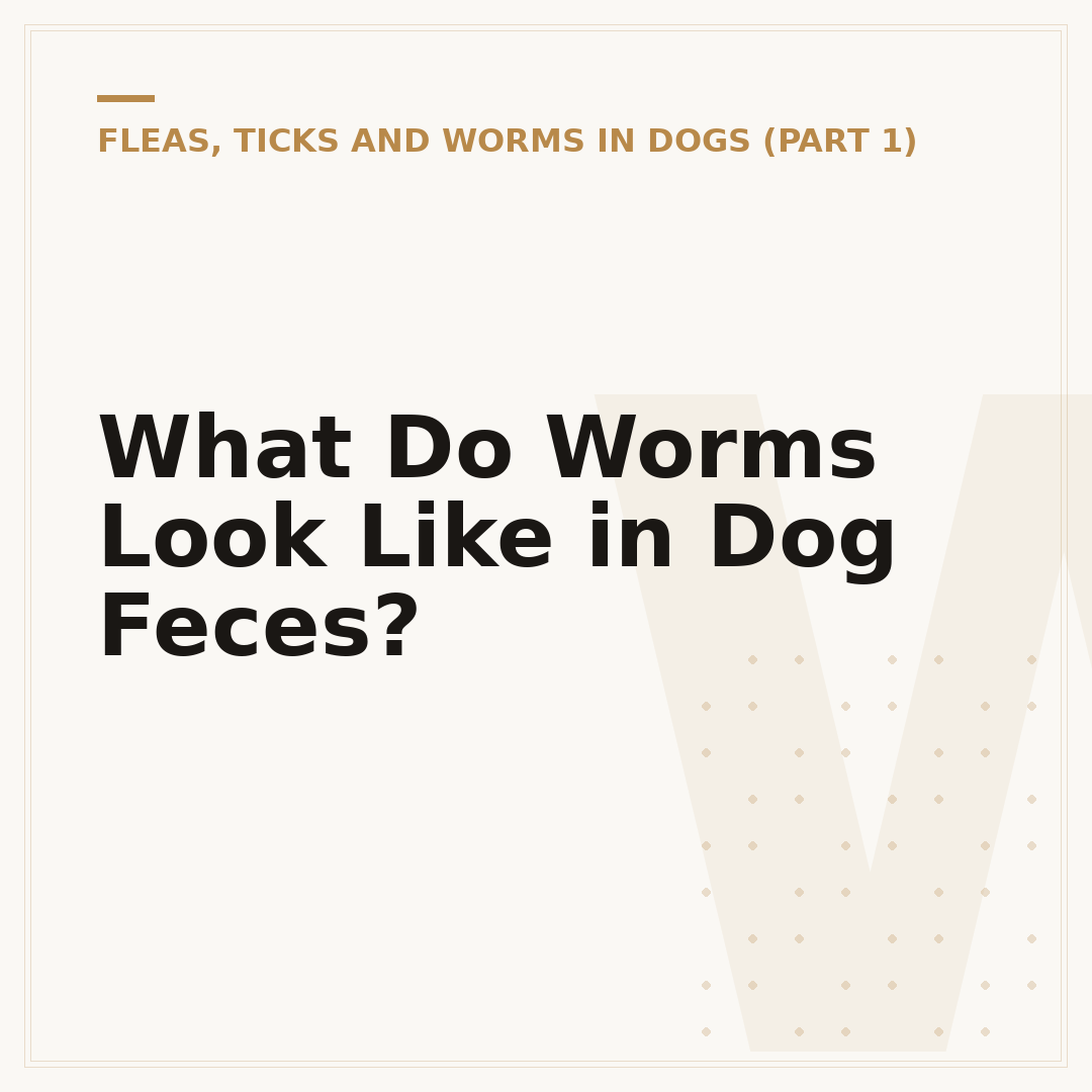 What Do Worms Look Like in Dog Feces?