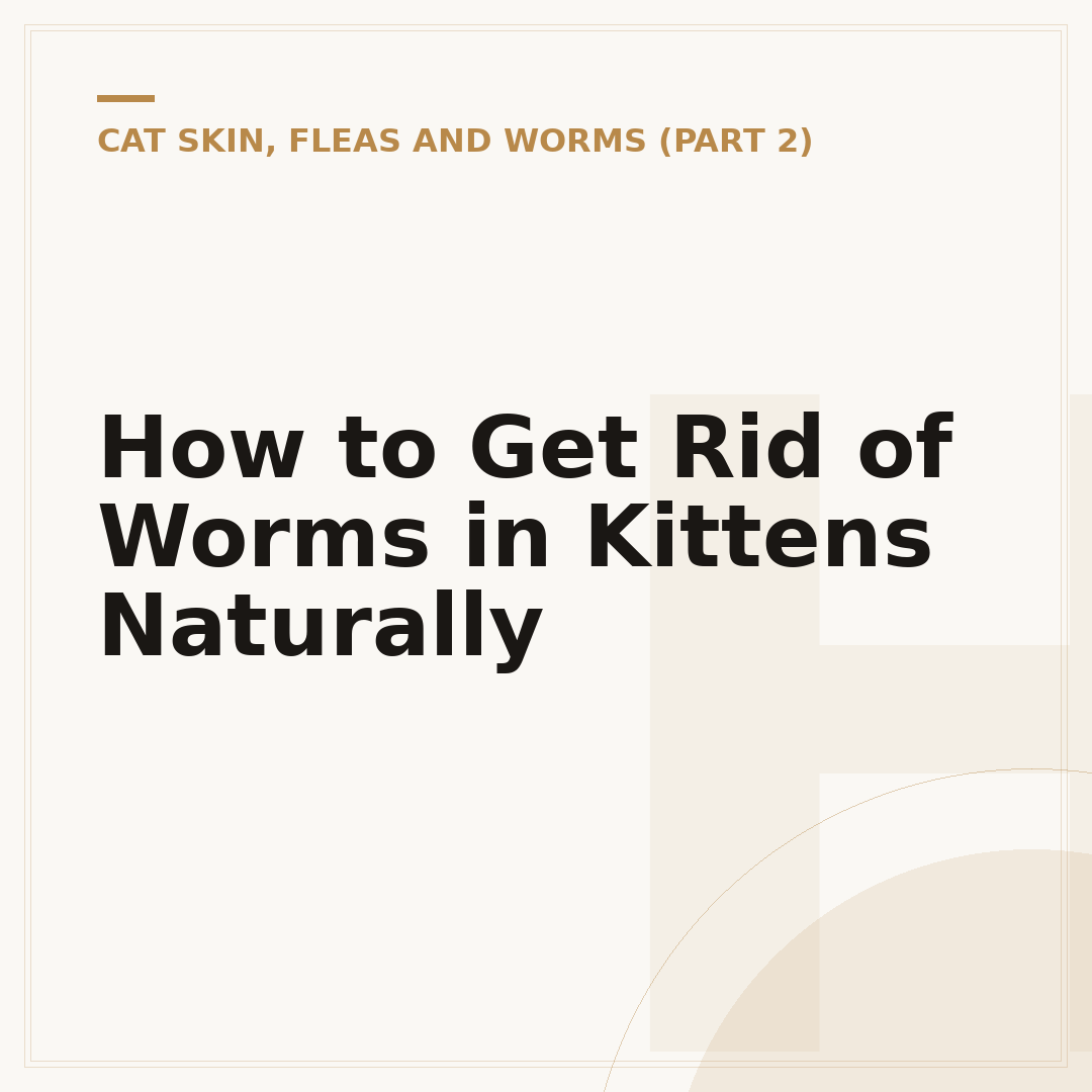 How to Get Rid of Worms in Kittens Naturally