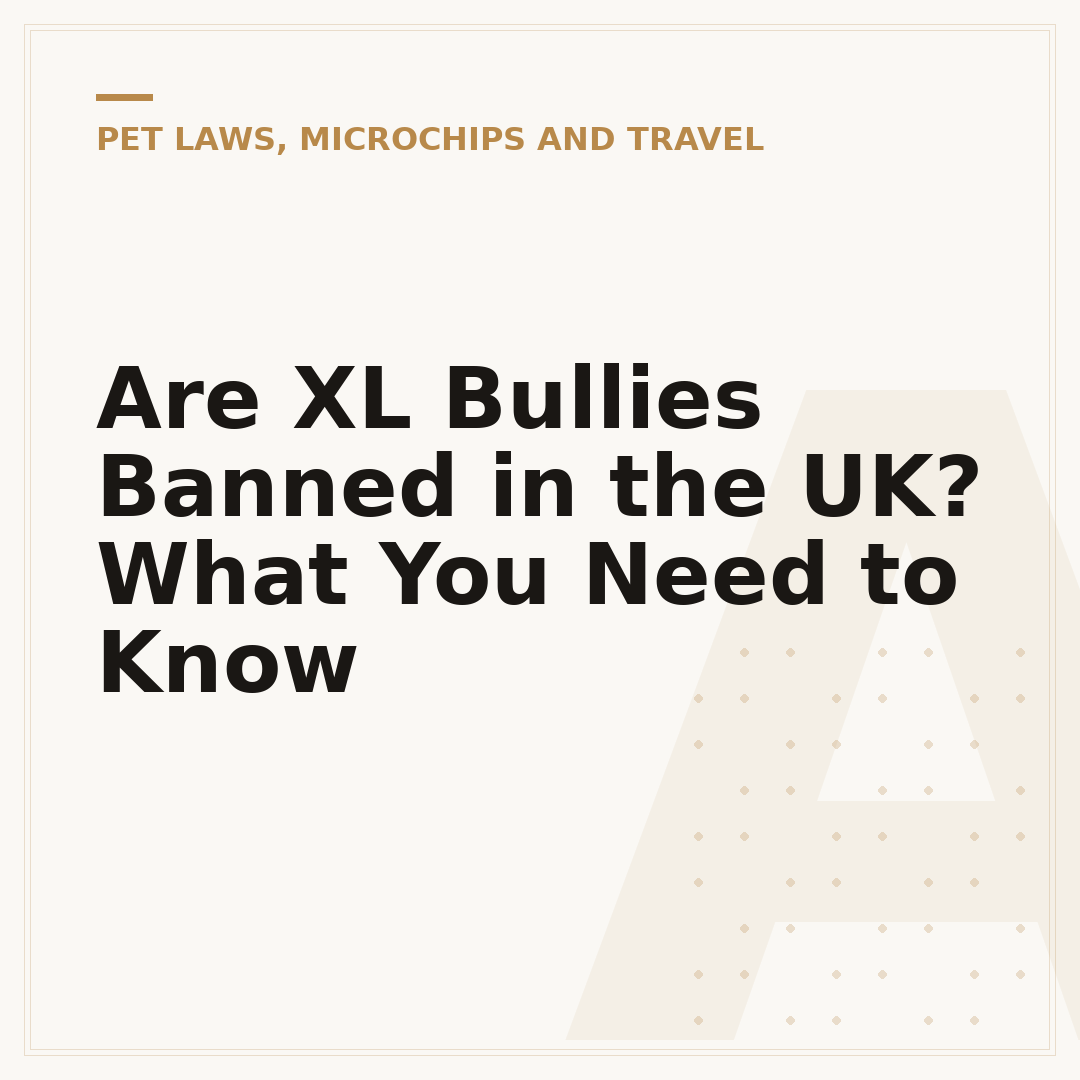 Are XL Bullies Banned in the UK? What You Need to Know