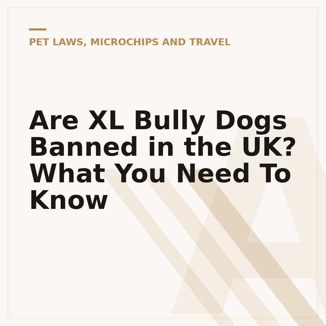 Are XL Bully Dogs Banned in the UK? What You Need To Know