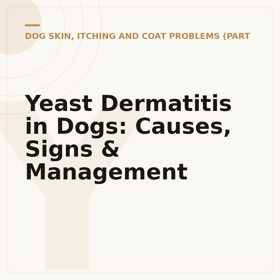Yeast Dermatitis in Dogs: Causes, Signs & Management