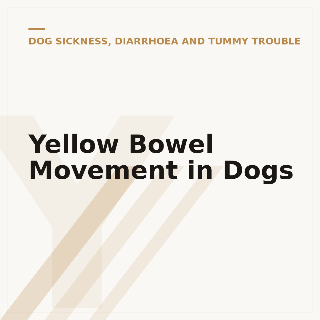 Yellow Bowel Movement in Dogs